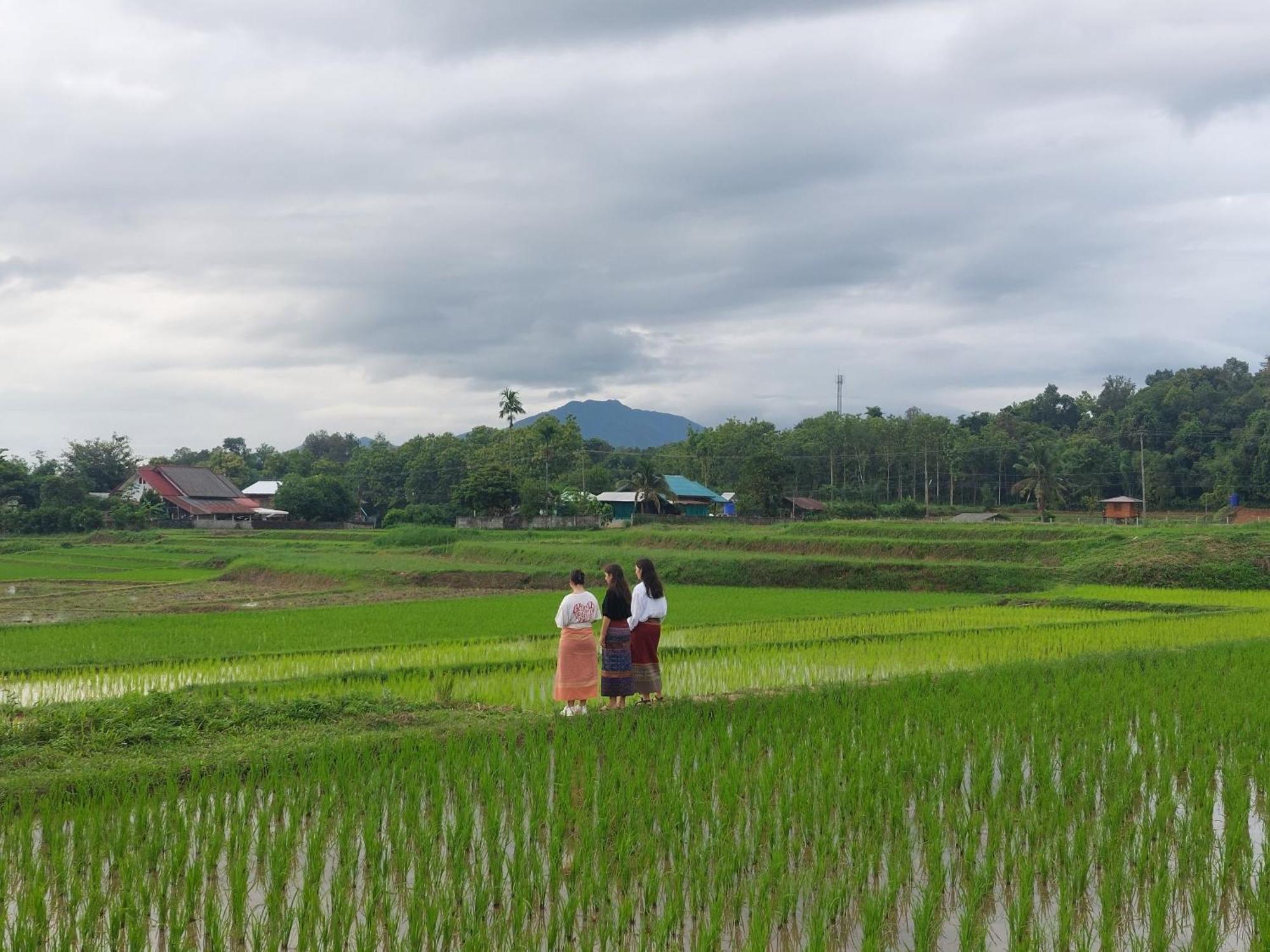 Ban Suan Nai Fun Homestay Пуа Экстерьер фото